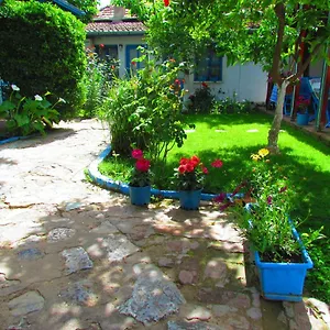 Amazon Antique 3* Selçuk